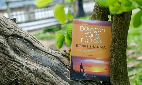 Đời ngắn đừng ngủ dài – cẩm nang gối đầu giường dành cho các bạn trẻ