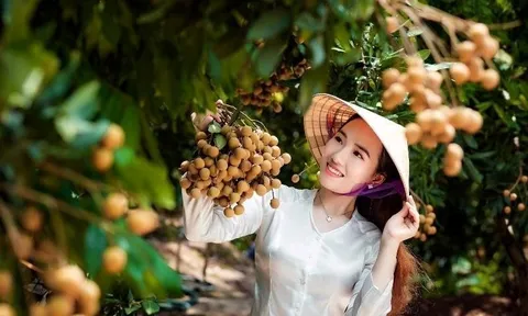 Tình yêu quê hương, đất nước thấm đẫm trong từng nốt nhạc