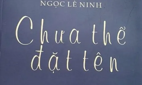 'Tôi thích sự táo bạo trong lao động con chữ của Ngọc Lê Ninh'