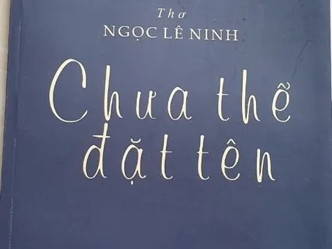 'Tôi thích sự táo bạo trong lao động con chữ của Ngọc Lê Ninh'
