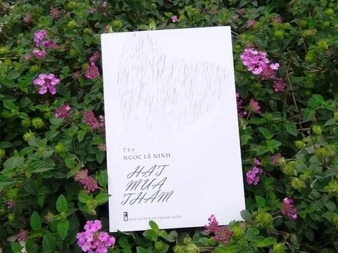 Cảm quan nhân văn mới mẻ trong thơ Ngọc Lê Ninh