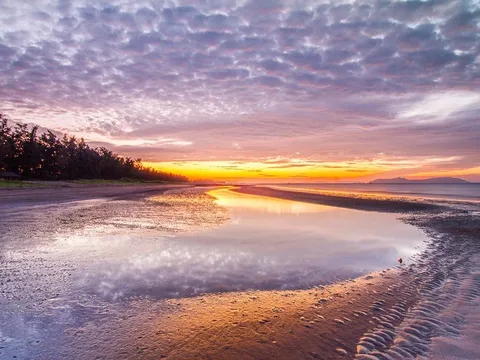 Chuyện trên biển Cần Giờ