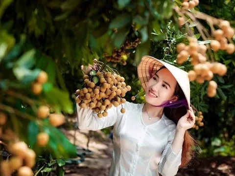 Tình yêu quê hương, đất nước thấm đẫm trong từng nốt nhạc