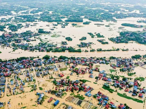 Sau Cơn Lũ Lại Xanh – Niềm tin nảy mầm từ gian khó