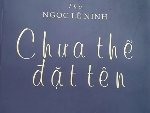'Tôi thích sự táo bạo trong lao động con chữ của Ngọc Lê Ninh'